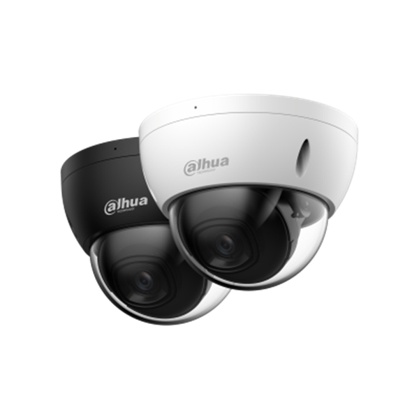 Imagen de DAHUA-IPC-HDBW2241EP-S