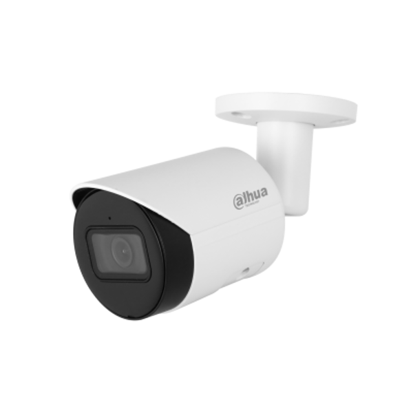 Imagen de DAHUA IPC-HFW2241SP-S