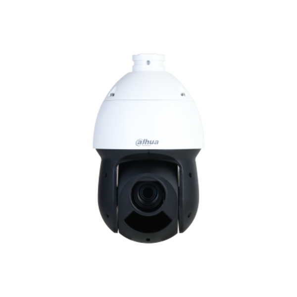 Imagen de SD49216DB-HNY