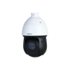 Imagen de SD49216DB-HNY